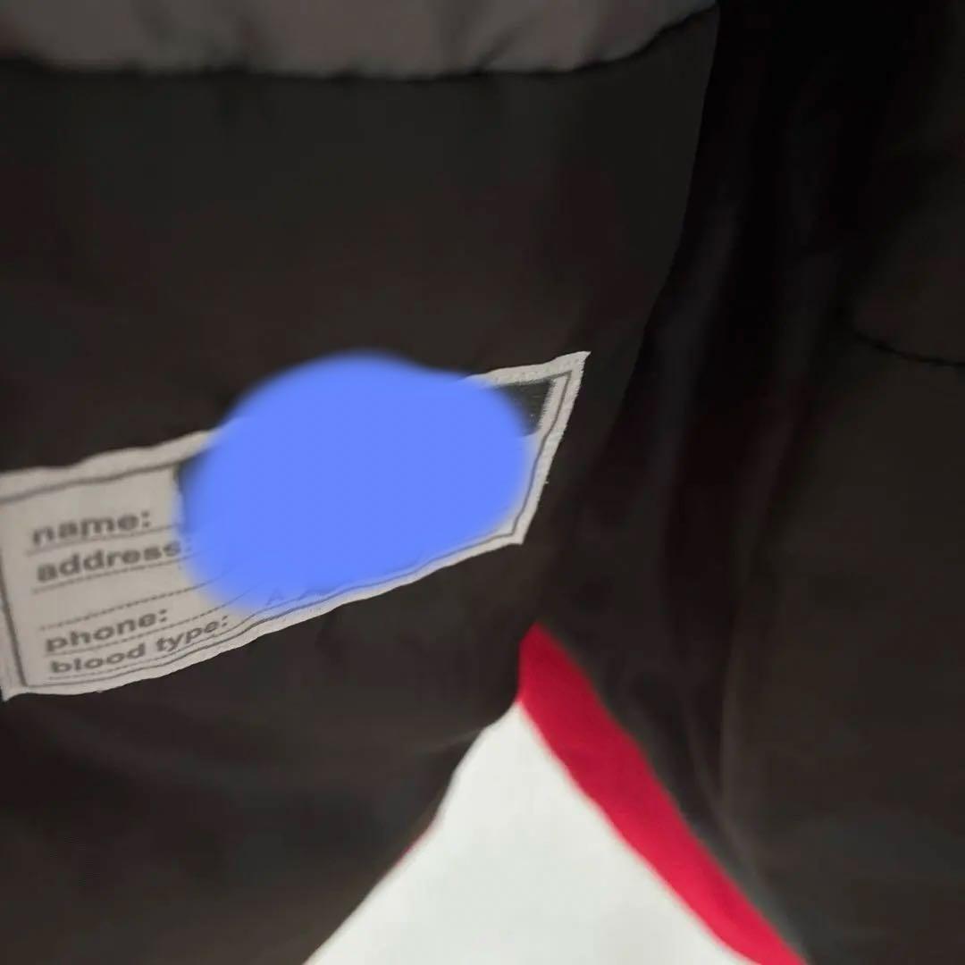 phenix スキーウェア 170サイズ　伸縮機能付き