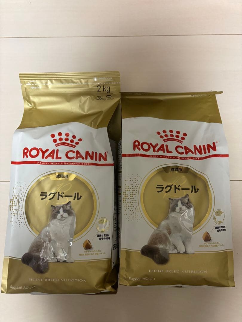  CANIN ラグドール 2kg ドライフード