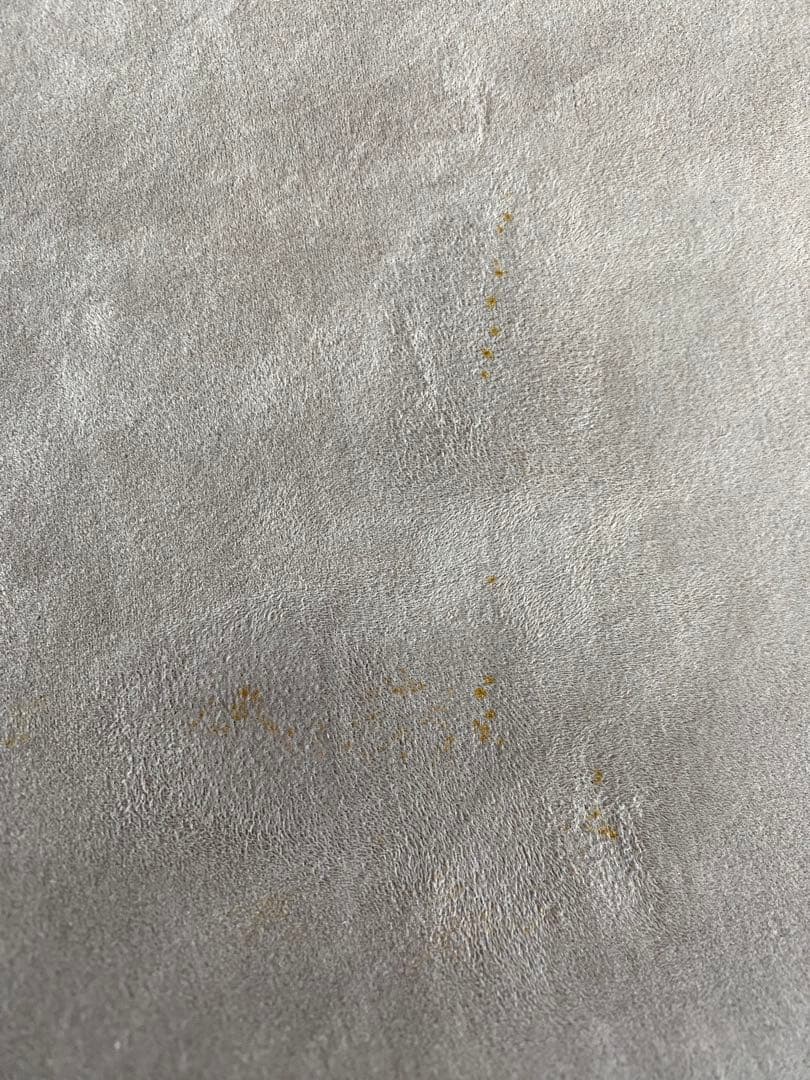 DENBA H 健康機器 専用カバーと電波計測器付き