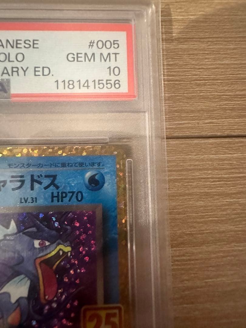 PSA10 わるいギャラドス プロモカードパック 25th ポケモン ポケカ