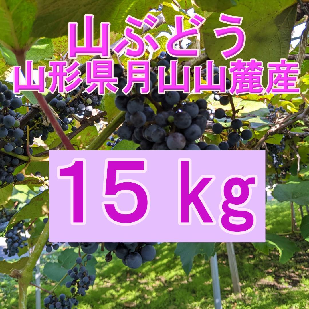 山ぶどう １５kg　山形県月山山麓産①