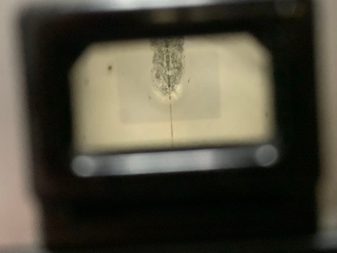 キヤノン　フィルム一眼レフカメラCanon FTb 50mm 1.8