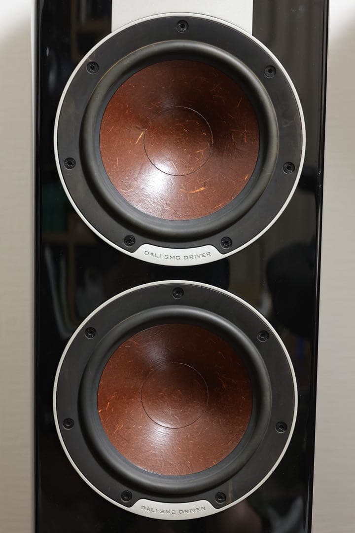 dali ダリepicon6 ブラック