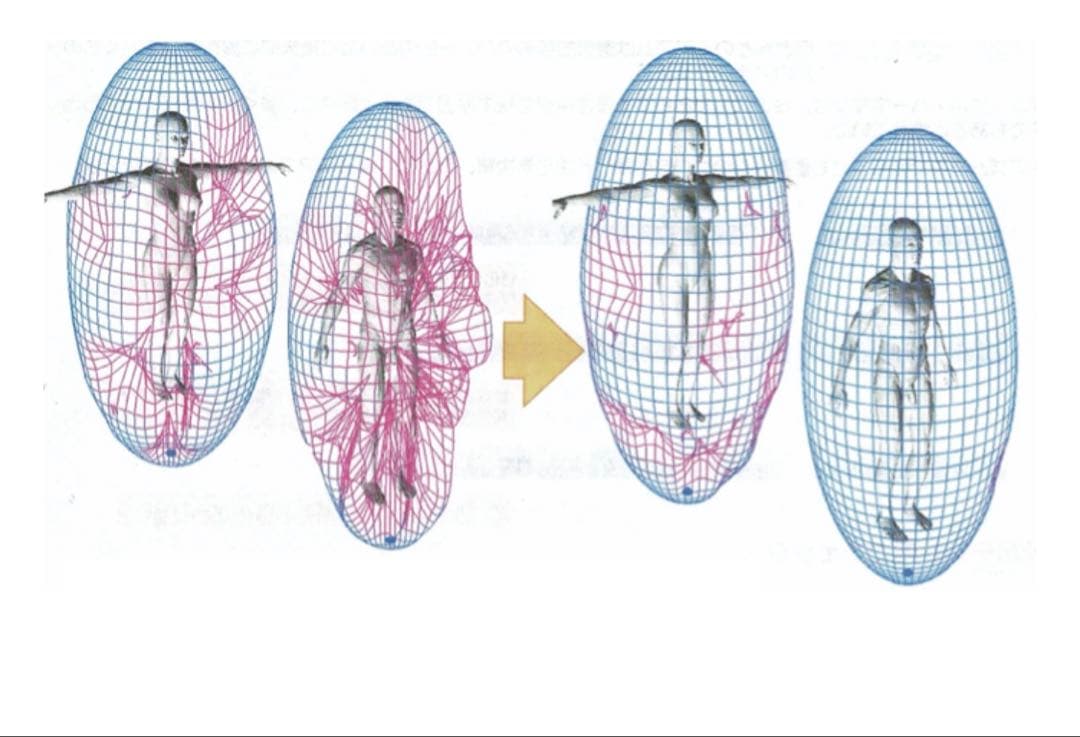 MS　波動測定器　ニュースキャン