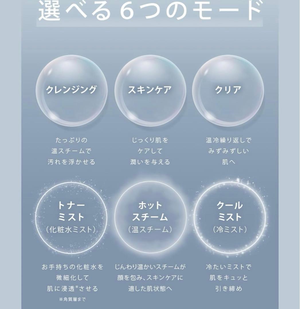 SALONIA ピュア ブライト スチーマー２月末まで出品