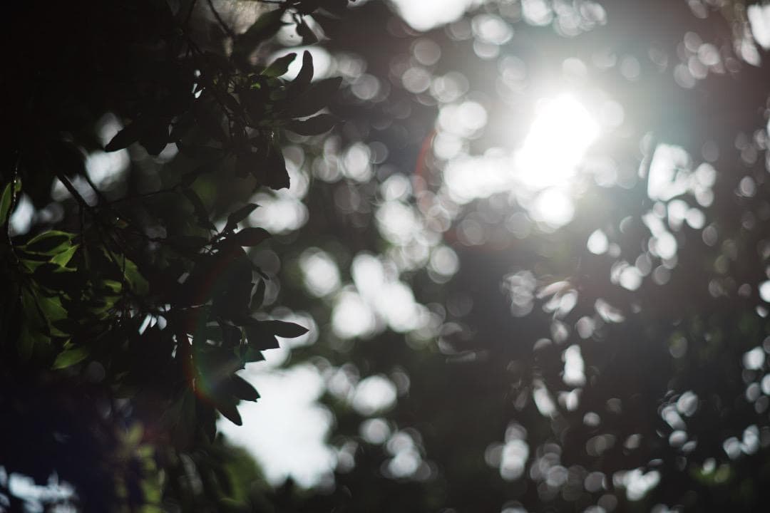 【極美品】Minolta MD ROKKOR 85mm F2 ミノルタ 571