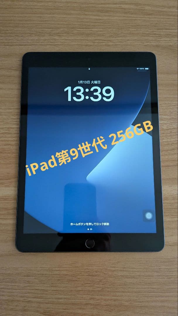 iPad 第9世代 256GB バッテリー97% 純正充電器付き ほぼ未使用