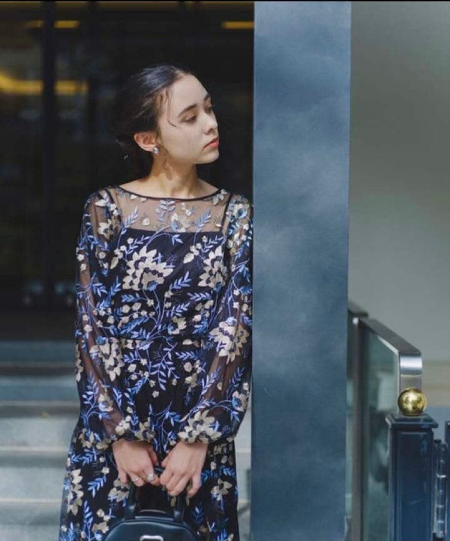 カスタネオケージョンドレスembroidery organdy dress