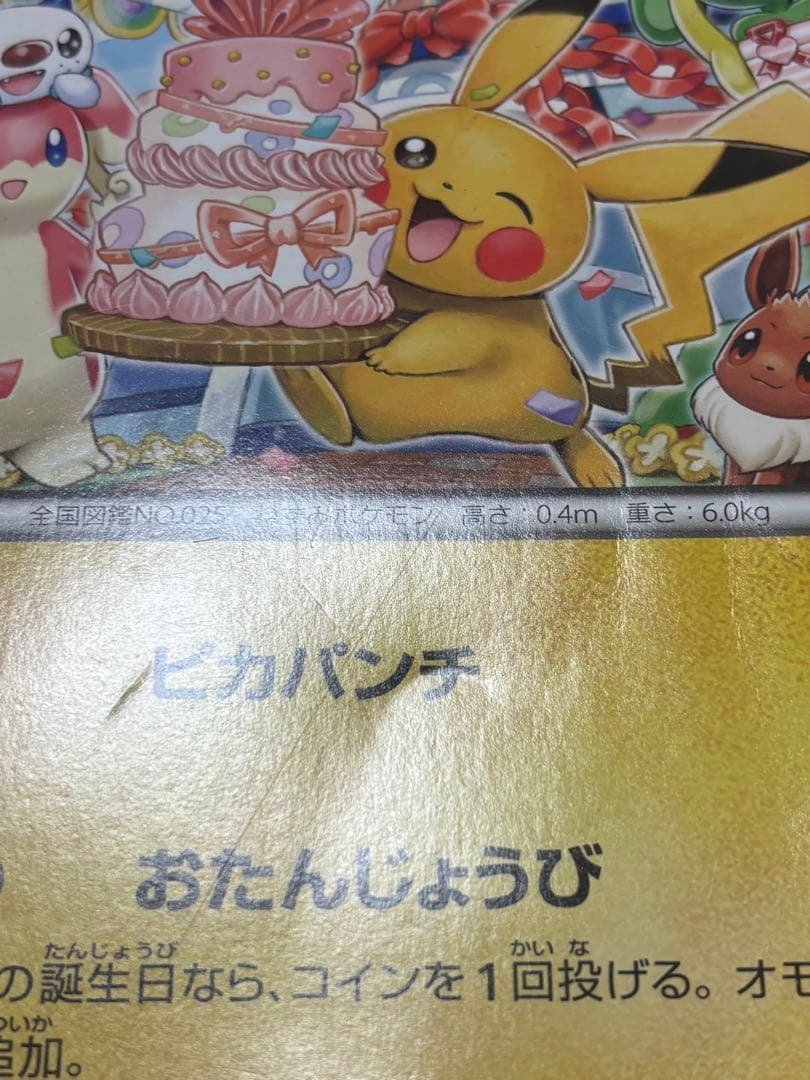 BW-P お誕生日ピカチュウ