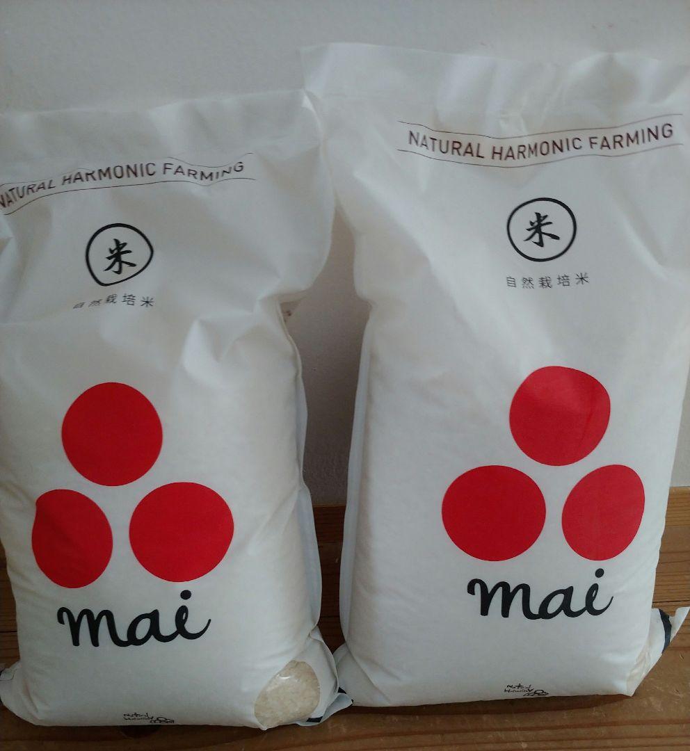自然栽培お米　10キロ　朝日　無農薬　無肥料　アサヒ　白米10キロ