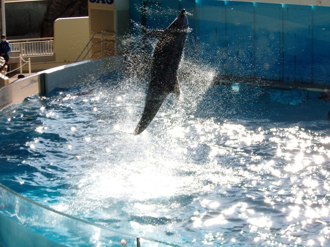 美品【動作確認済】Kodak コダック PIXPRO FZ43 レトロコンデジ