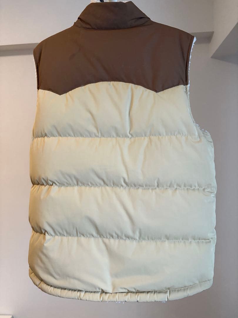 Patagonia フリースダウンベスト