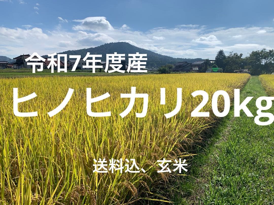 令和7年度　新米ヒノヒカリ　20kg(玄米)送料込