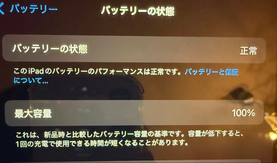 iPad （A16） 11世代 11インチ Wi-Fi 128GB シルバー