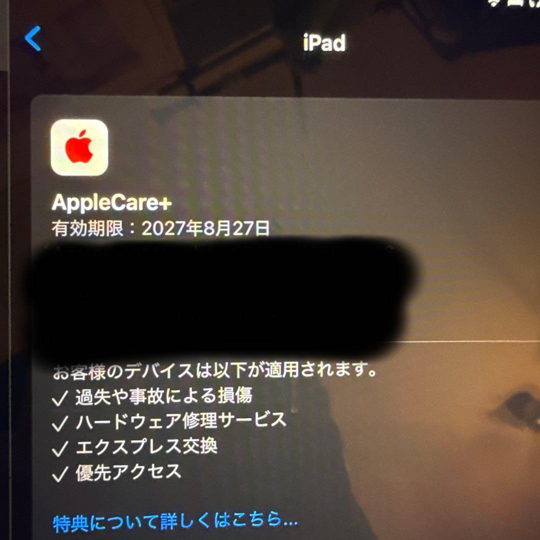 iPad （A16） 11世代 11インチ Wi-Fi 128GB シルバー