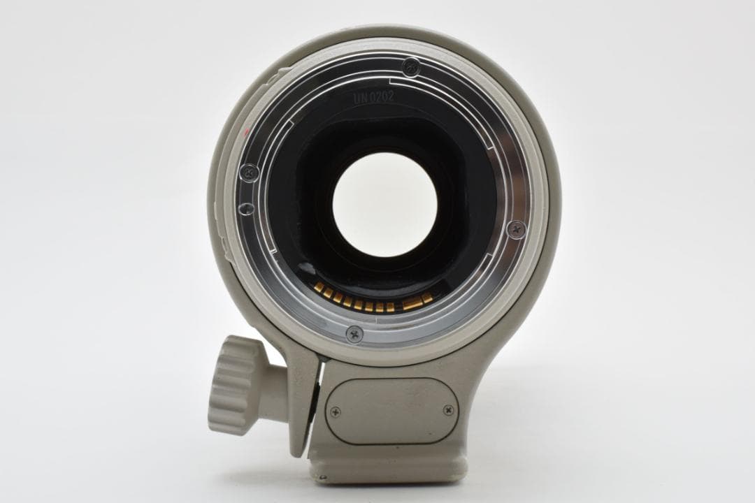 キャノン　Canon EF 300mm F4 L IS USM 1324