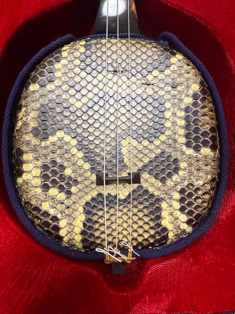 沖縄県産(国頭村)島黒木　沖縄　三線　和楽器