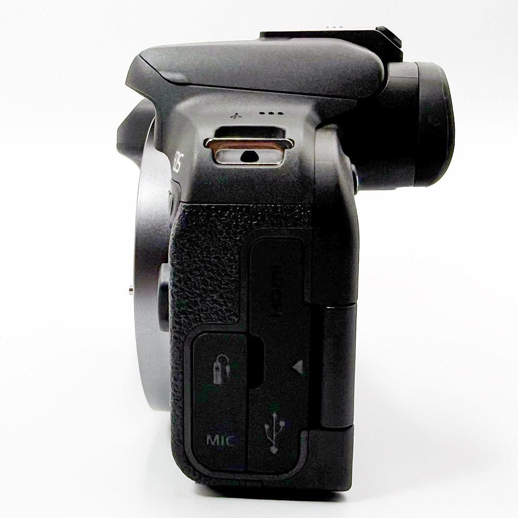 【美品】キヤノン EOS R10 RF-S 18-150 STM レンズキット