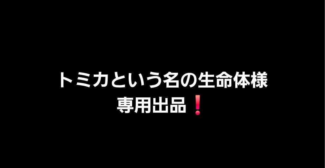専用出品❗トミカタウン すかいらーく