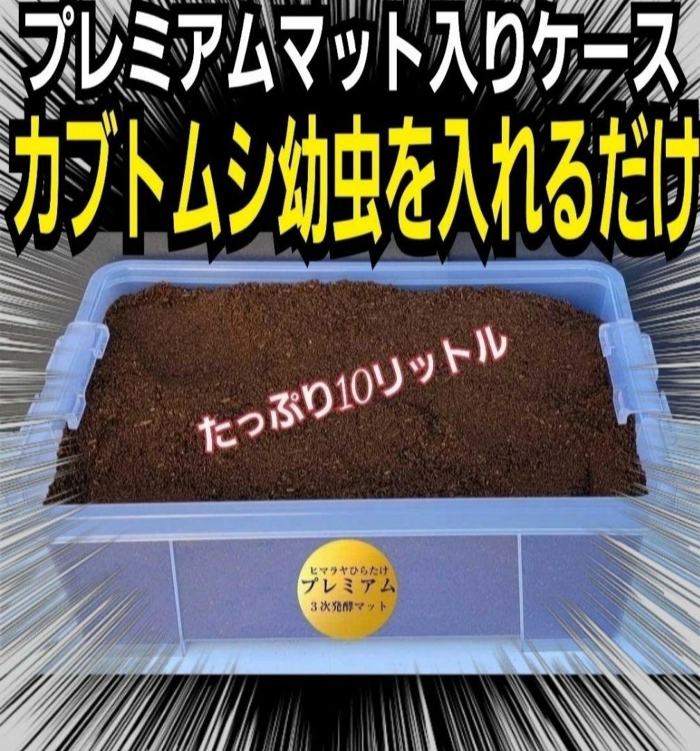 【２セット】カブトムシ幼虫を入れるだけ！プレミアム発酵マット入り㍑ボックス