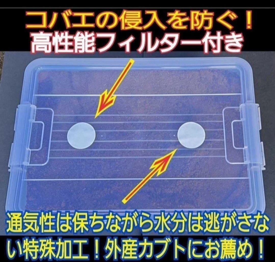 【２セット】カブトムシ幼虫を入れるだけ！プレミアム発酵マット入り㍑ボックス