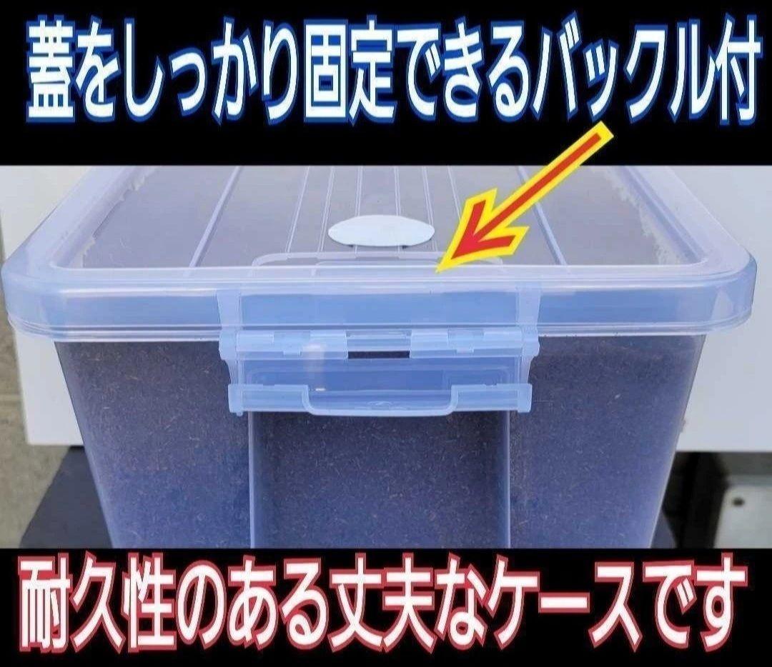 【２セット】カブトムシ幼虫を入れるだけ！プレミアム発酵マット入り㍑ボックス