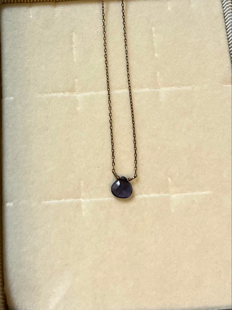 ete 天然石アイオライト　K10YGネックレス