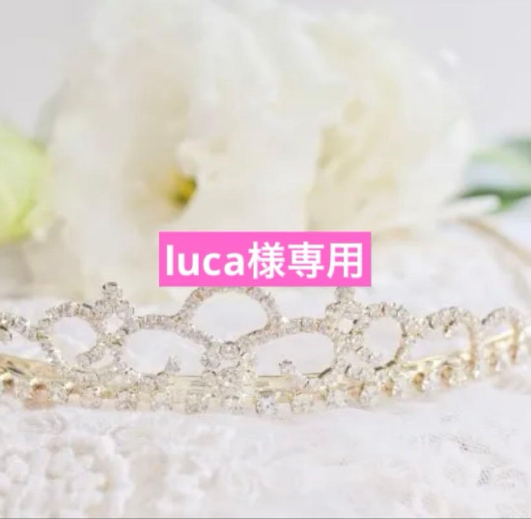 専用☆アンテプリマ☆スタンダード スクエアミディアム サボテンポーチ