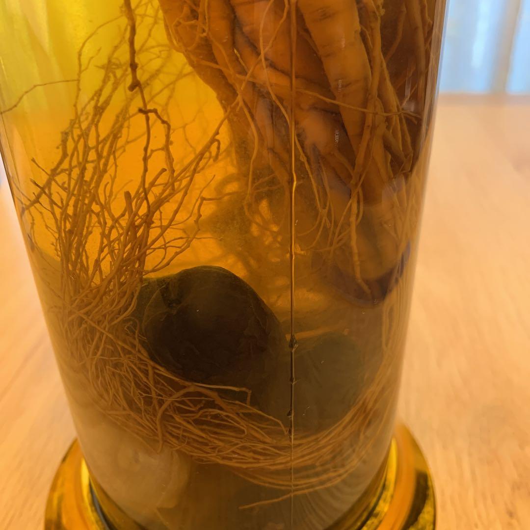 朝鮮人参　ナツメ　漢方薬入り　25年　古酒　個装無し