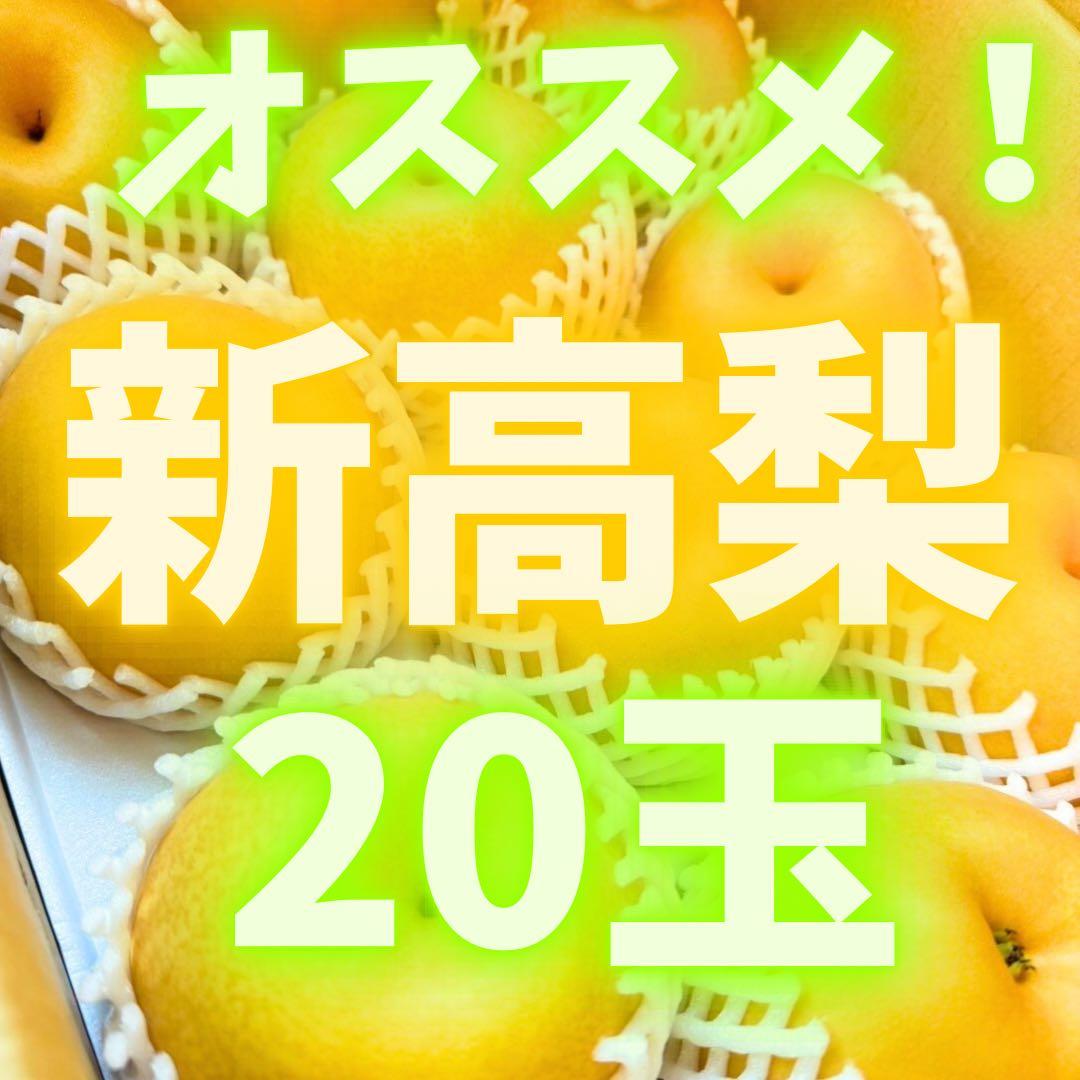 梨　新高梨　10玉を2箱　02