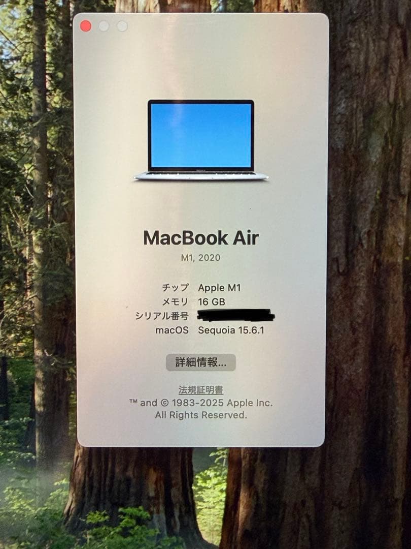 Apple MacBook Air (M1, 2020) シルバーJIS