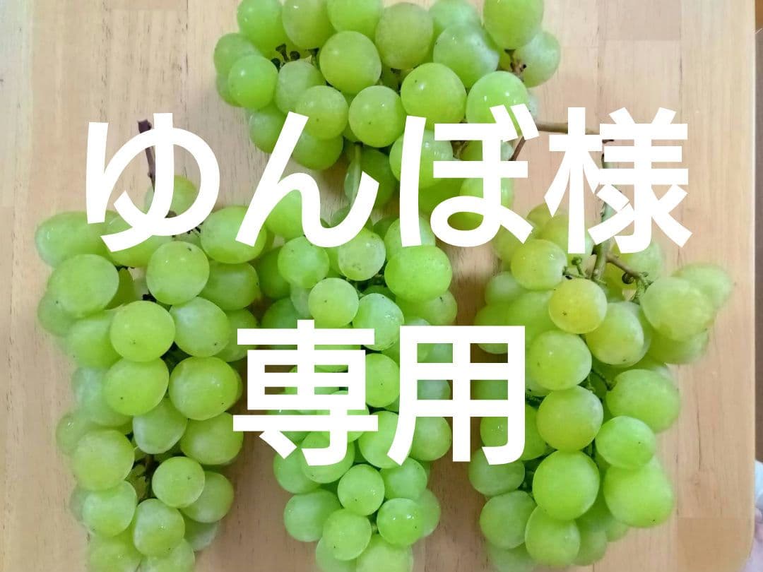 加工用 ぶどう シャインマスカット 粒 5kg 5キロ