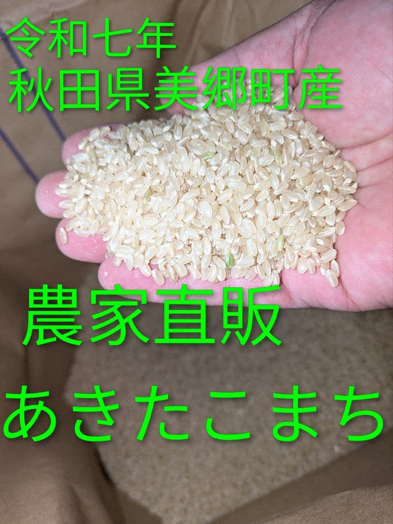 令和７年秋田県美郷町産あきたこまち10kg