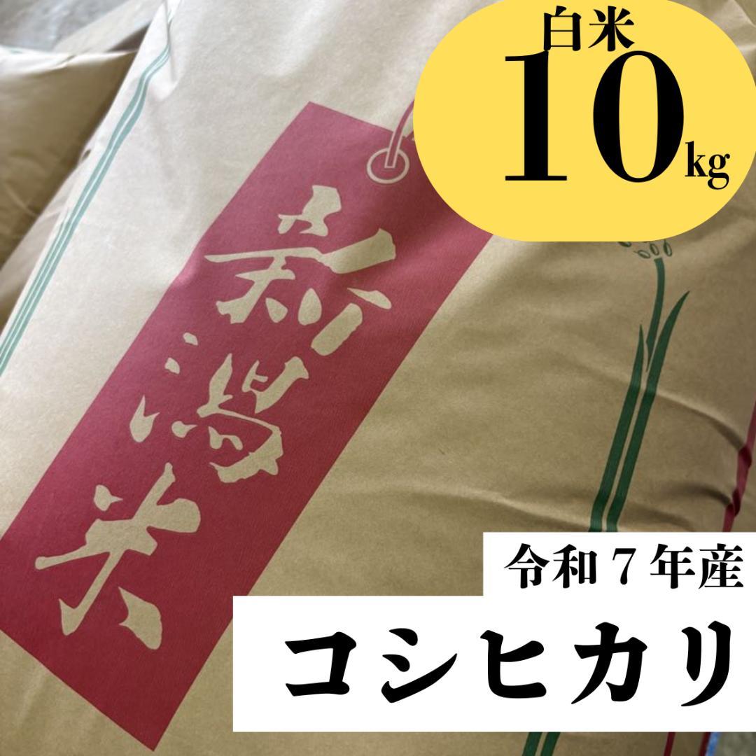 新潟県産 コシヒカリ　白米　10㎏