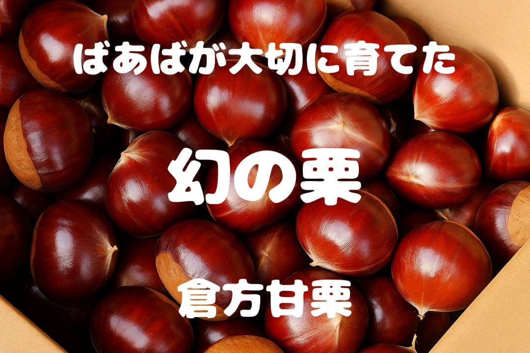 【レモンさま　専用】幻の栗　倉方甘栗 3キロ