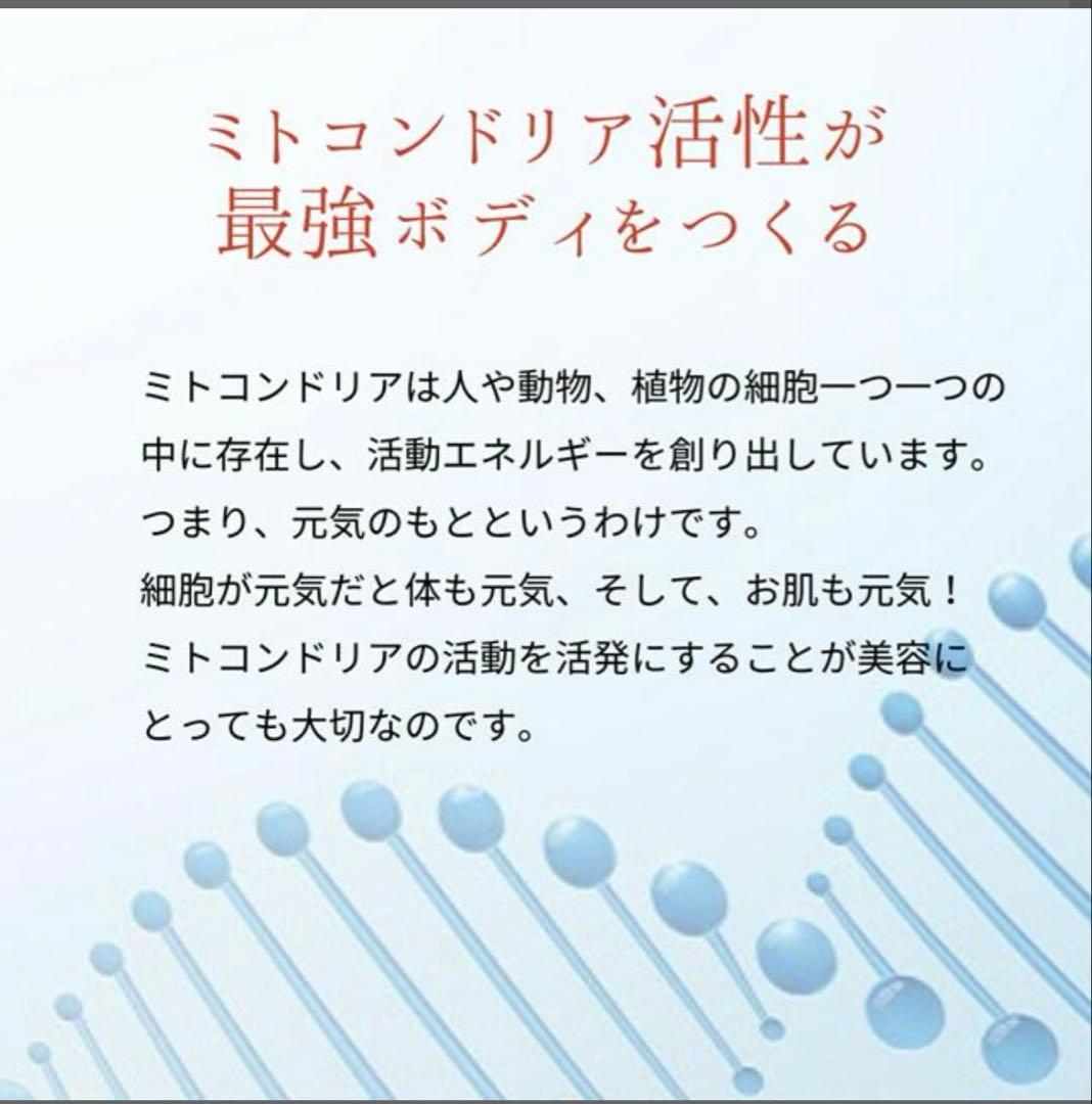インターナルリセット フォーミュラ０５／インパクトボディ バーン （６０包）