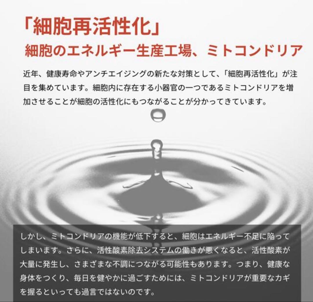 インターナルリセット フォーミュラ０５／インパクトボディ バーン （６０包）