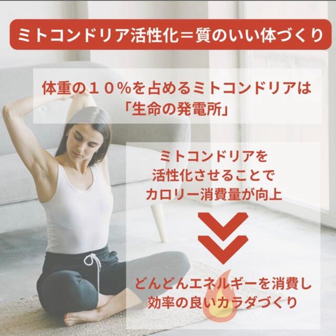 インターナルリセット フォーミュラ０５／インパクトボディ バーン （６０包）