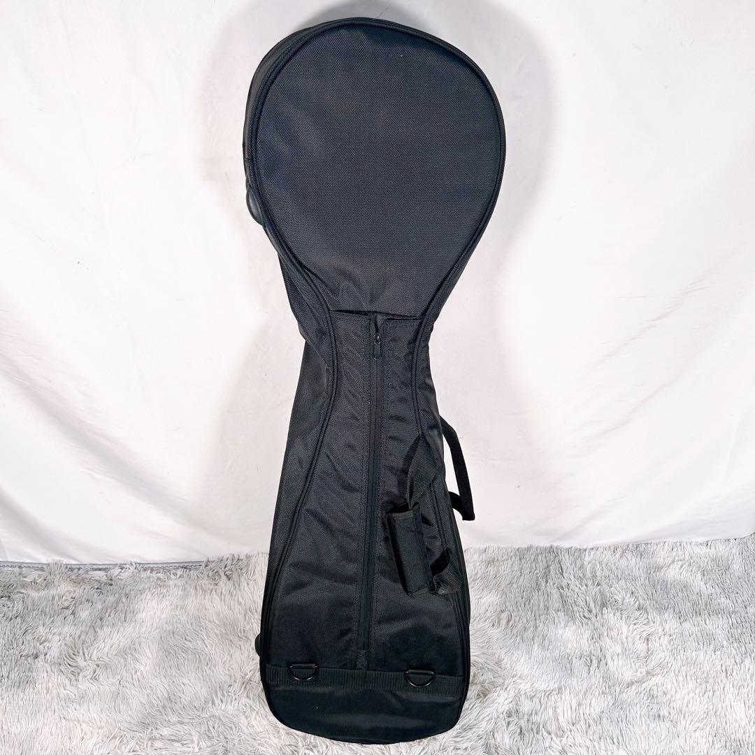 津軽三味線　花梨　太棹　東さわり付　皮やぶれなし　バチ　ケース付