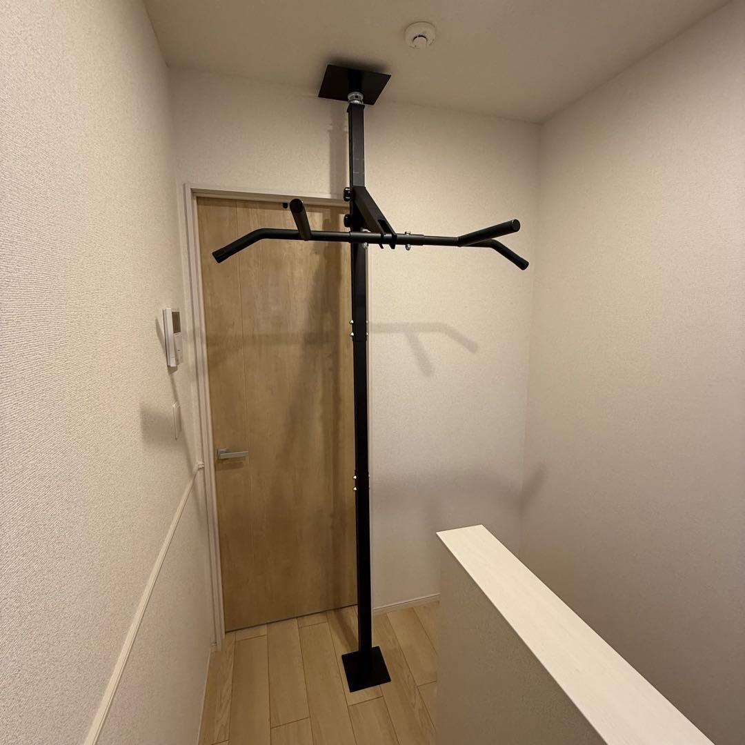 KENSUI kaku TEDDY WORKS 懸垂 筋トレ