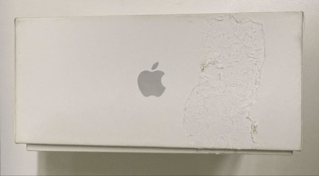 Apple AirPods Pro2 本体未使用品