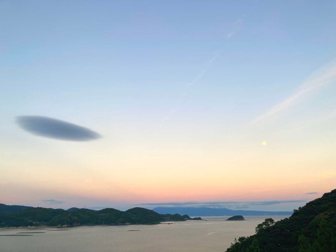 じゅん様　ニホンミツバチ生ハチミツ　1120g✖️2本