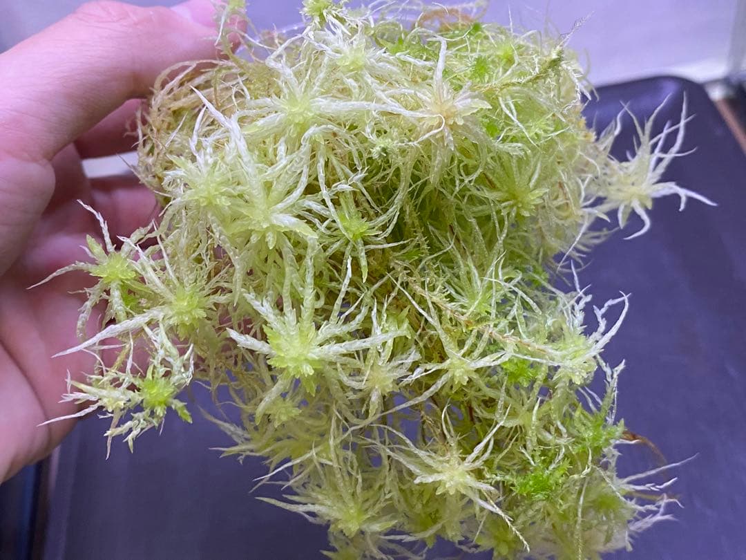 Mumu様 リクエスト 3点 まとめ商品