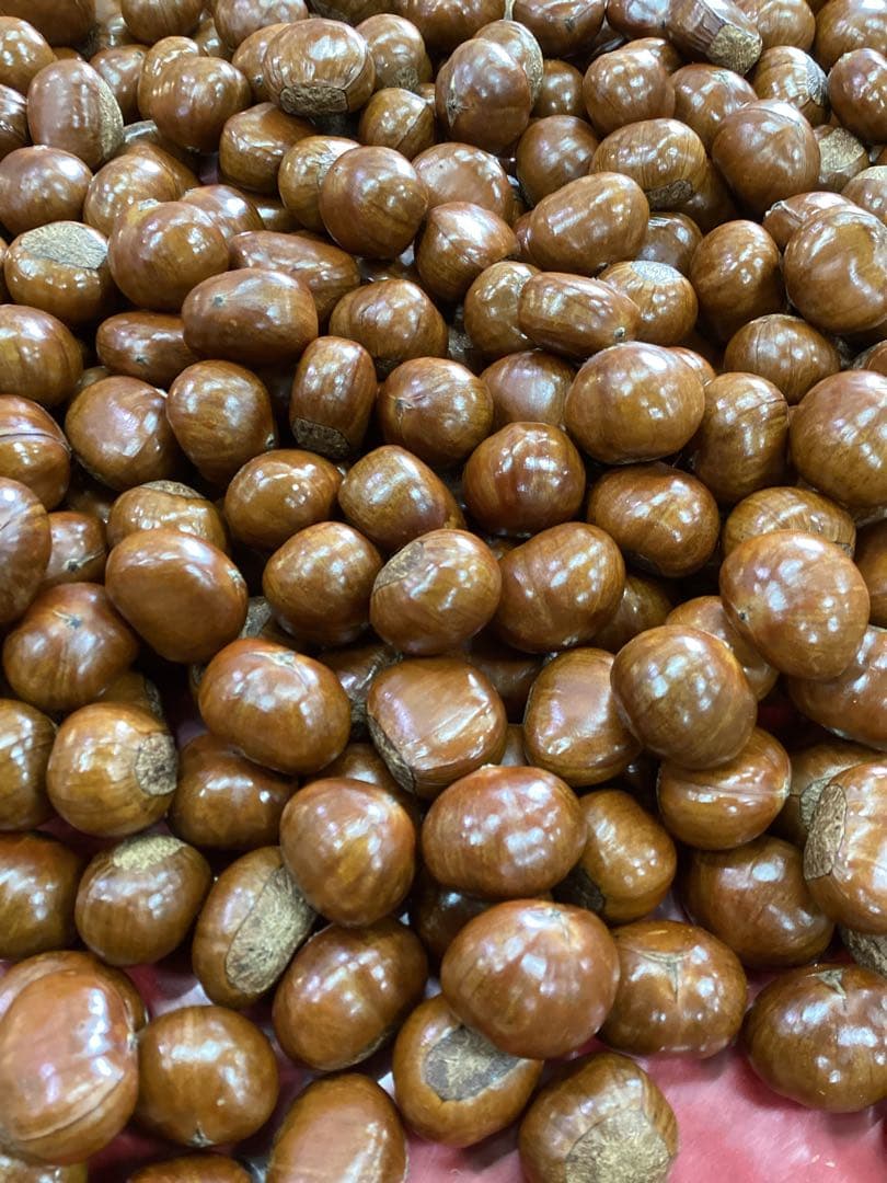 【キョロ】ビックサイズ‼️焼きたて‼️天津甘栗5キロ入り