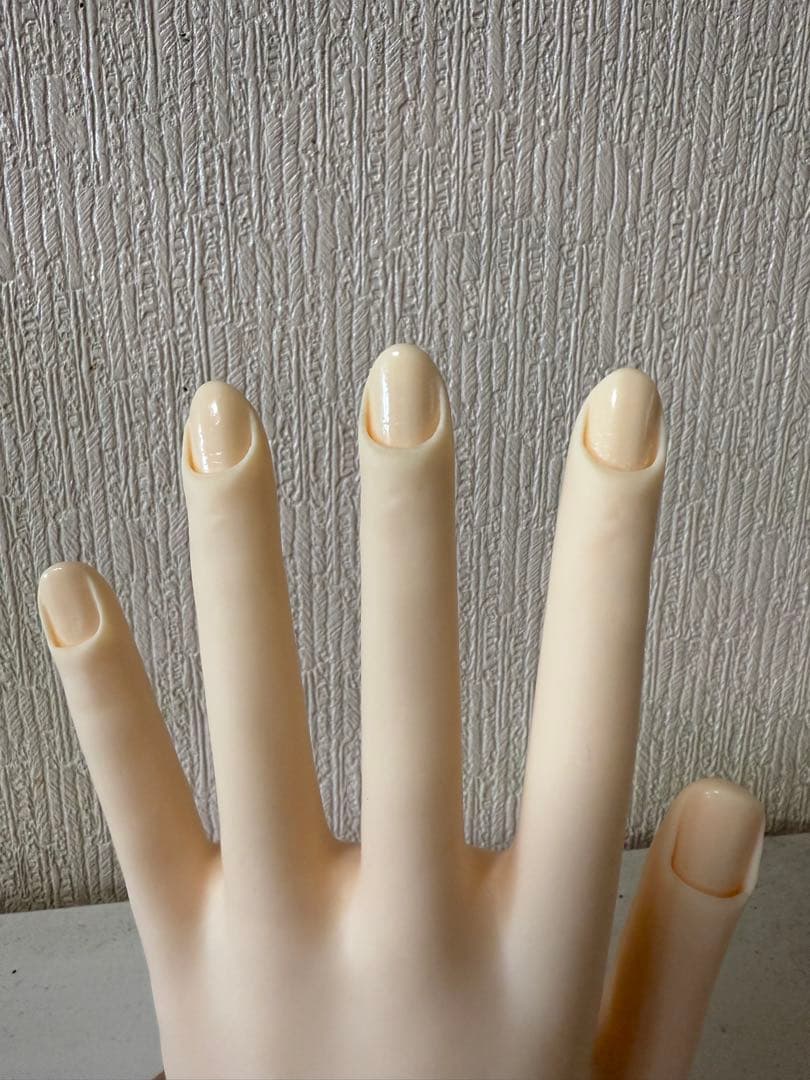 mmm　JNEC認定モデルハンド