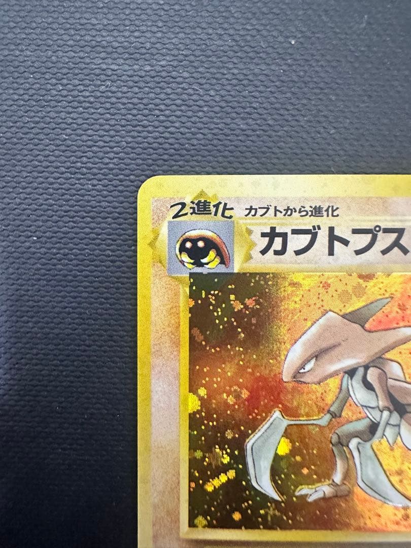 【旧裏】 なにかの化石／カブト／カブトプス 3枚セット ★ホロ