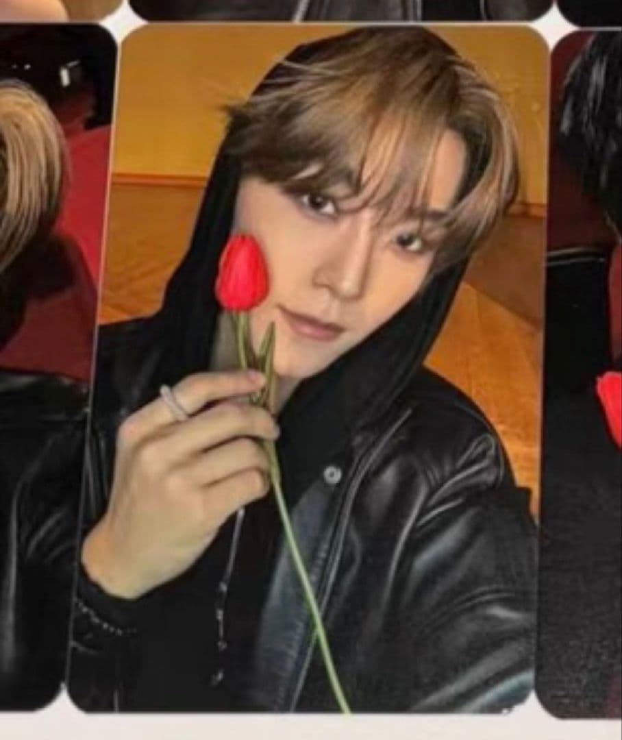 ALD1 シンロン EUPHORIA サノク 限定 トレカ E