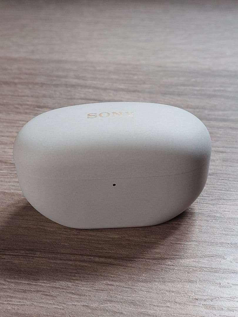 SONY ワイヤレス ノイズキャンセリングイヤホン WF-1000XM5