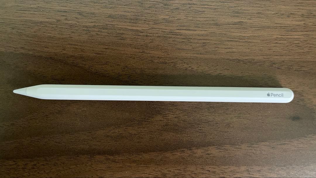 iPad Pro(第2世代)256GB 11インチ　フルセット+おまけケース