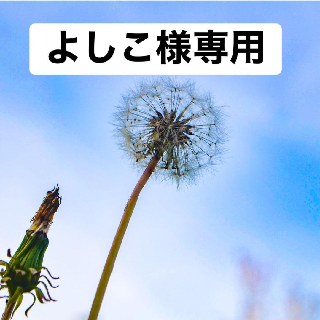 新品ASUS Vivobook GO15 E1504F メモリ16G